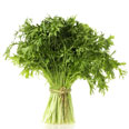 Amsoi