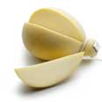 Provolone Provolone